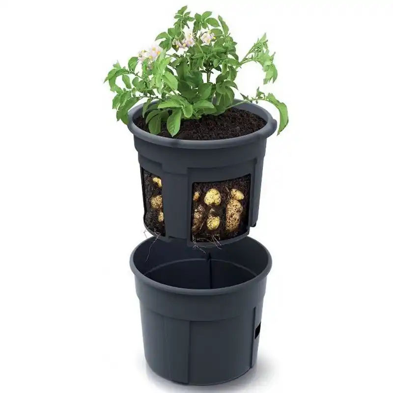 Prosperplast POTATO GROWER Blumentopf 39,2 cm, anthrazit IZIE400 Expressversand