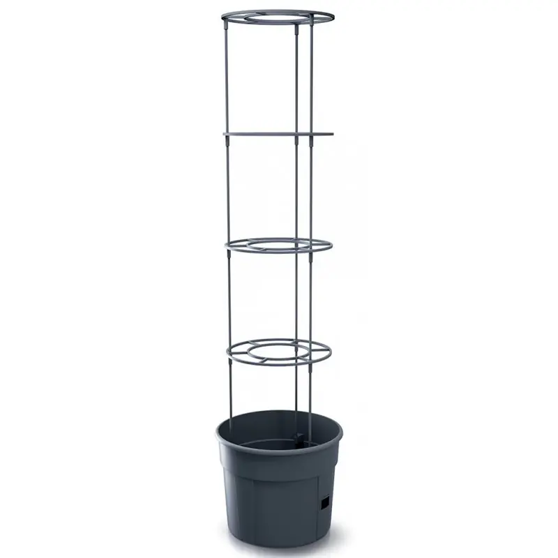 Finale Aktion Prosperplast TOMATO GROWER Tomato pot 29,5 cm, antrazit IPOM300