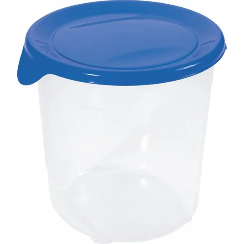 Sofort Bestellen CURVER FRESH GO Frischhaltedose 1,0L blau/transparent 00564-139