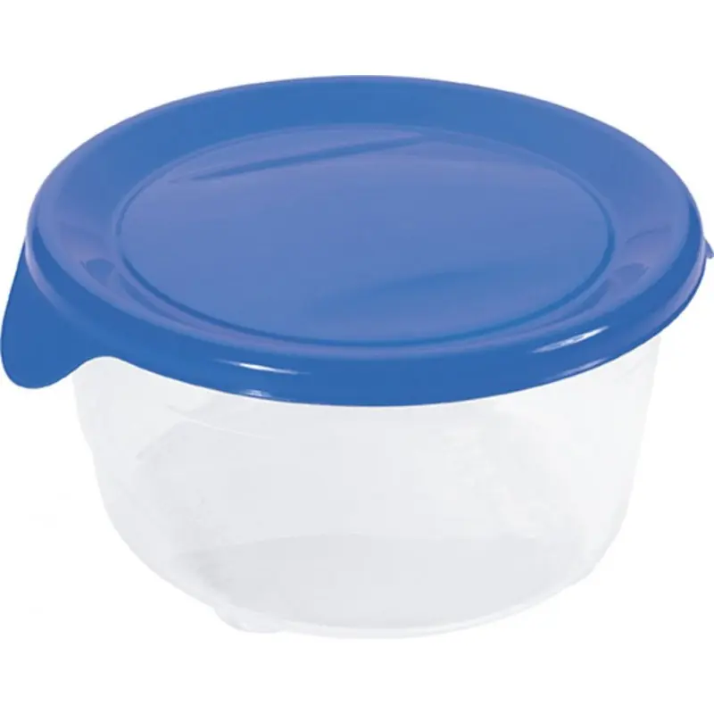 Kracherpreis CURVER FRESH GO Frischhaltedose 0,5L blau/transparent 00563-139