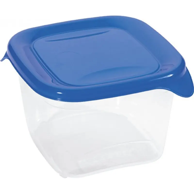CURVER FRESH GO Frischhaltedose 1,2L blau/transparent 00560-139 Ausverkauf