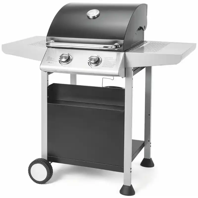Preis Gesenkt FIELDMANN FZG 3102 Gasgrill 2 Brenner 41012388