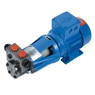 Motorpumpengruppe SMG1541 Jetzt Bestellen