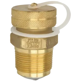 Füllventil mit Rückschlagklappe, AG 1 1/4" NPT x AG 1 3/4" ACME, 54 010 Aktuell