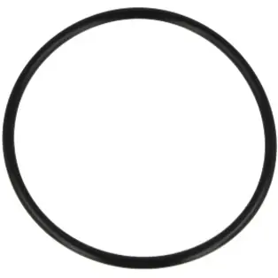 Billig O-Ring 76 x 4 mm für HTE15CG, HTE25CG, HTE15CG2, HTE25CG2 S100815