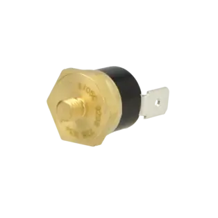 Temperaturbegrenzer 87229638580 Top-Angebot