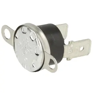 Thermostat R2258 Echt