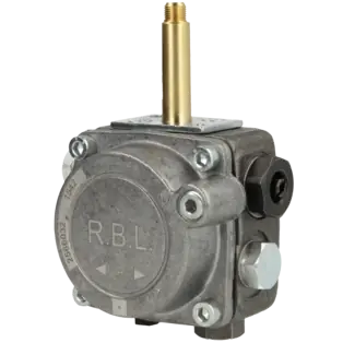 Top-Angebot Pumpe für Riello 40 3006918