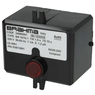Steuergerät SM191.1 24080001 Begrenztes Angebot