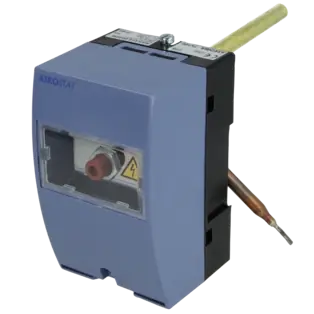 Super-Preis Sicherheitstemperaturbegrenzer RAK 313.0020M 011-4811