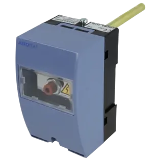 Knallerangebot Sicherheitstemperaturbegrenzer RAK 313.0030M 011-4817