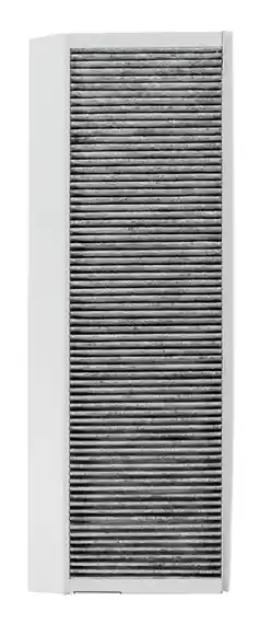 Wolf Aktivkohlefilter-Set ePM2,5 50% (M6), für CWL-2-450/600, 2 Stück pro Set 1670524 Sichere Zahlung