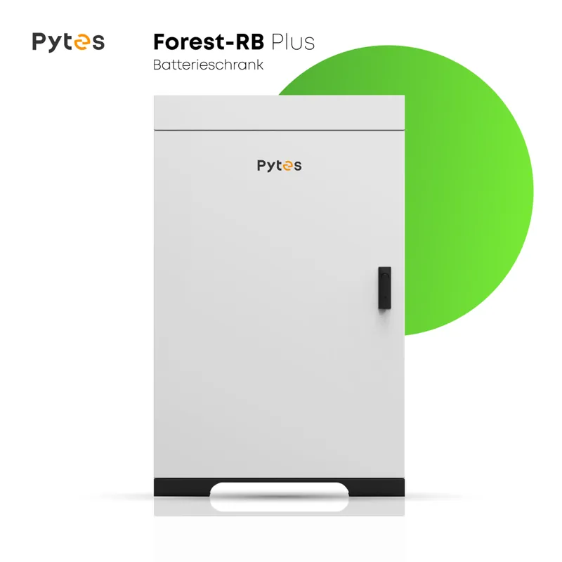 Pytes Forest-RB Plus Speicherschrank Echt