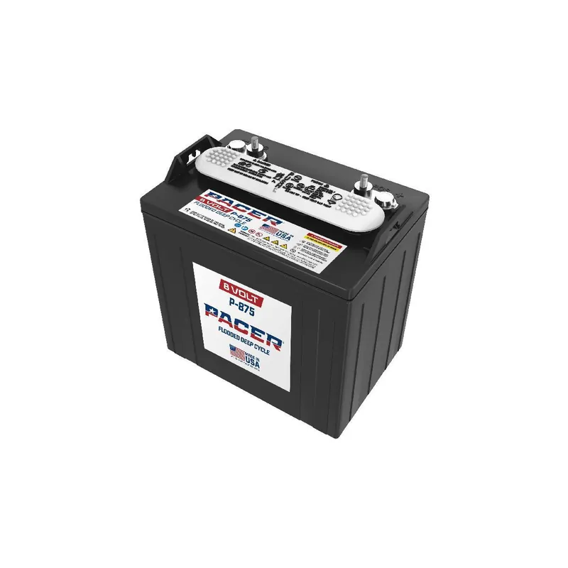 Trojan Pacer P-875 8V 165Ah Deep Cycle Traktionsbatterie ELPT-Anschluss Top-Preis