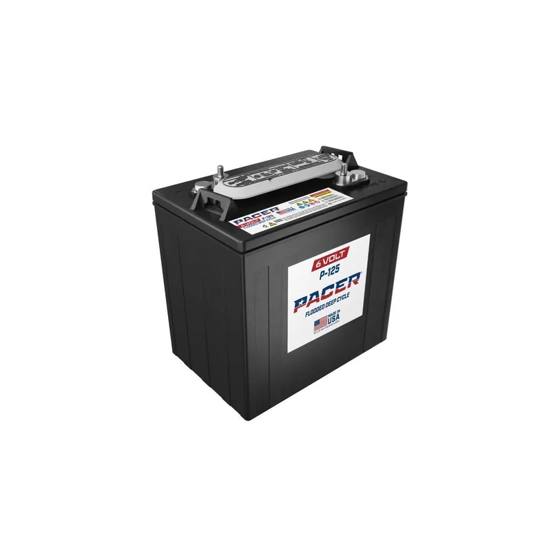 Trojan Pacer P-305 6V 300Ah Deep Cycle Traktionsbatterie EUTR-Anschluss Sichere Zahlung