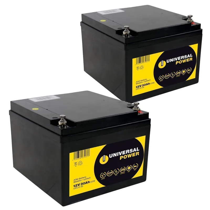 Ersatzakku für evRider Gusto Scooter 24V 2 x 12V 30Ah Echt