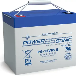 Sichere Zahlung Powersonic PG-12V65 12V 65Ah Blei-Vlies Akku AGM VRLA