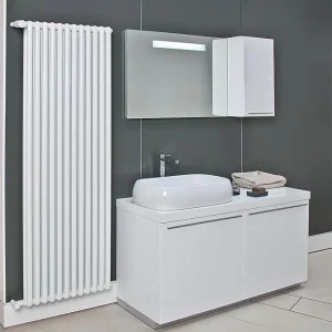 Direktkauf Aluminium-Röhrenradiator Tribeca RAL 9010, Typ 1400 x 10 Glieder