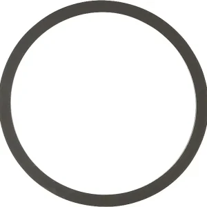 Nur Heute Dichtring für Brauchwasserpumpen Vortex und Grundfos