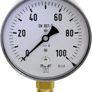 Finale Aktion Kapselfedermanometer KP 100.1 0-25 mbar, DN15 (1/2"), 100 mm