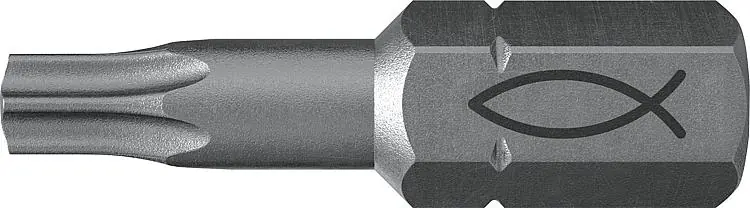 Ausverkauf Profi Bit FPB T 15 Inhalt 10 Bits